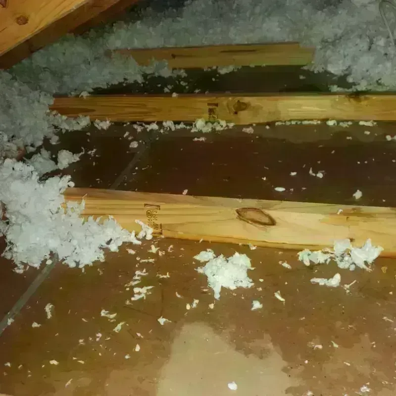 Attic Water Damage in Roanoke, TX