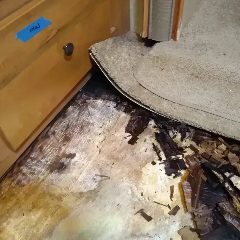 Best Wood Floor Water Damage Service in Roanoke, TX